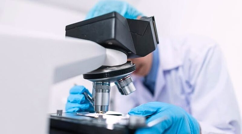 Con un crecimiento económico sostenido y $339 millones de dólares en exportaciones de medicamentos, el estado reafirma su papel clave en la economía nacional