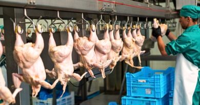 La suspensión preventiva responde a un foco de gripe aviar en una granja de Brasil; Sader asegura que no hay riesgo para el consumo en territorio nacional.