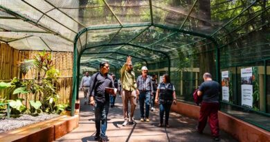 Autoridades y expertos realizarán un dictamen estructural en el Parque Barranca de Chapultepec para garantizar su seguridad y conservación ambiental.