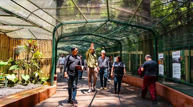 Autoridades y expertos realizarán un dictamen estructural en el Parque Barranca de Chapultepec para garantizar su seguridad y conservación ambiental.