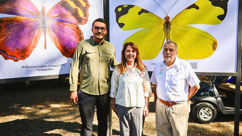 El Parque Chapultepec renace con espacios rehabilitados y el Festival Alas de Primavera, impulsando convivencia, arte y naturaleza en Cuernavaca